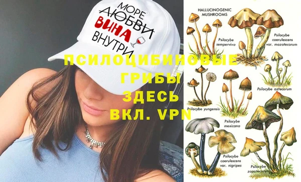 ГАЛЛЮЦИНОГЕННЫЕ ГРИБЫ Алексин