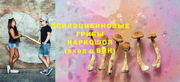 стаф Майский