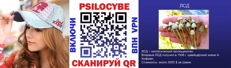 Псилоцибиновые грибы Cubensis Рошаль