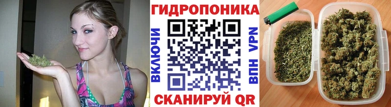 МАРИХУАНА семена Рошаль